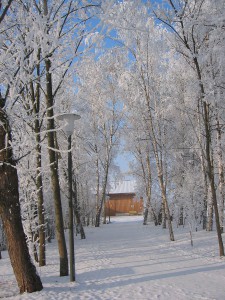 Weg_verschneit